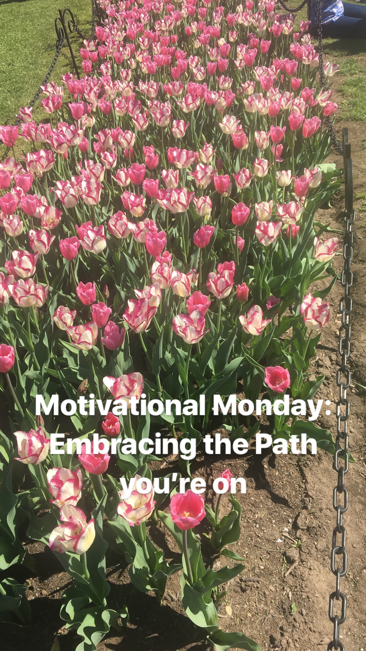Motivational Monday: Embracing the Path you’re on